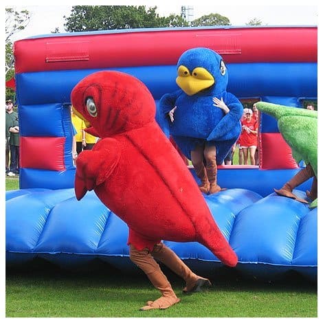 It's A Knockout Hen Party